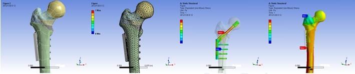 ����Ԫ����