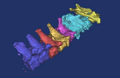 ����Ԫ����