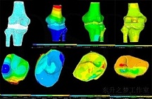 ����Ԫ����